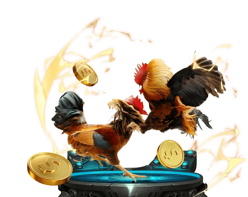 Hoàn trả hàng tuần cho cá cược thể thao